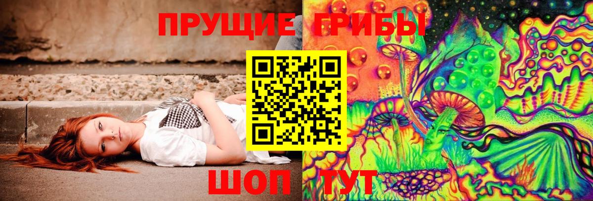 Галлюциногенные грибы Psilocybe Конаково