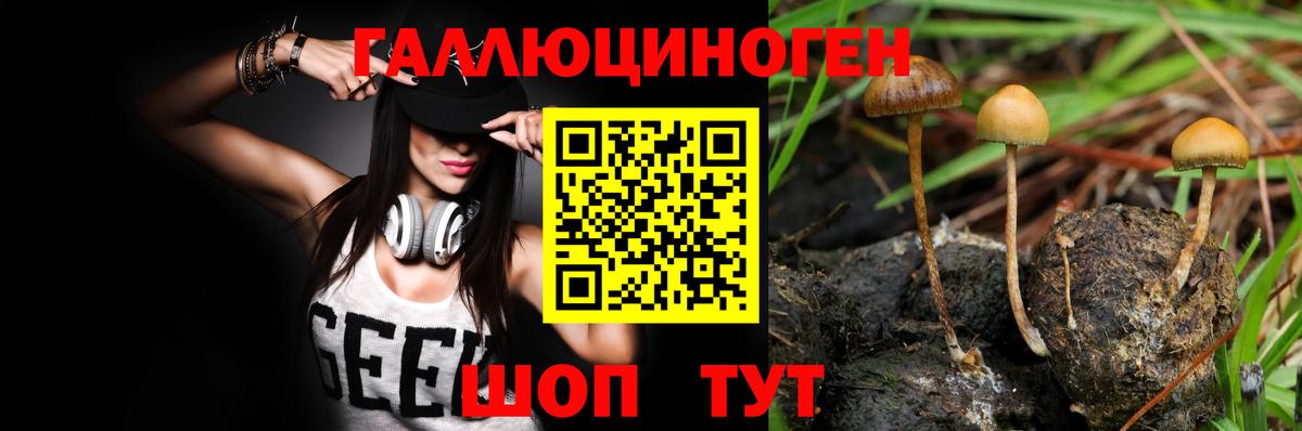 Конаково  Псилоцибиновые грибы Cubensis  Галлюциногенные грибы ЛСД  Вход с VPN 